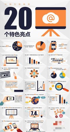 中國互聯(lián)網的20個特色亮點